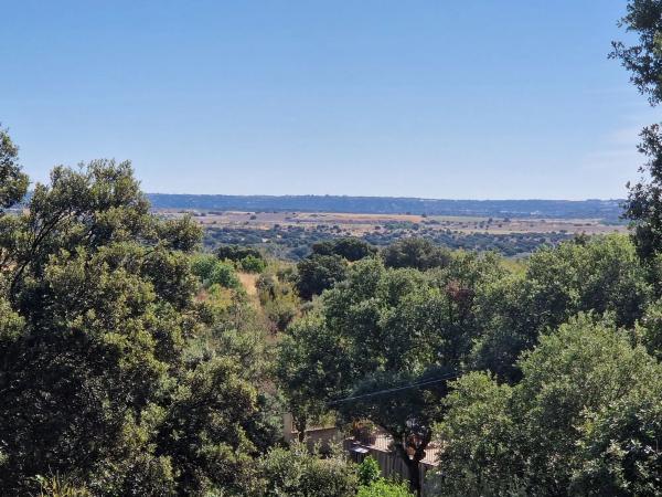 Terreno en calle Cruz del Terrero, 5