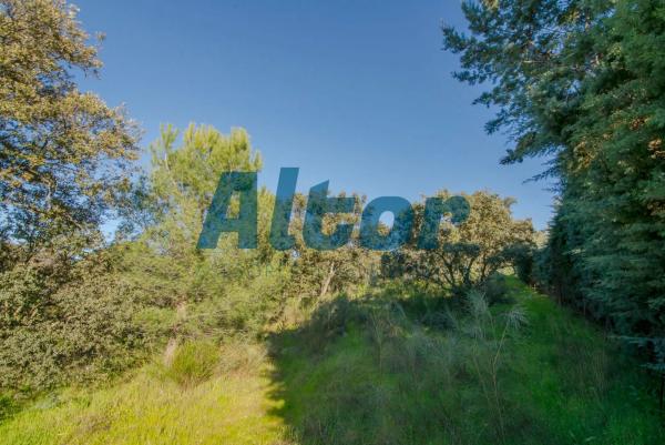 Terreno en calle Sierra Trapera