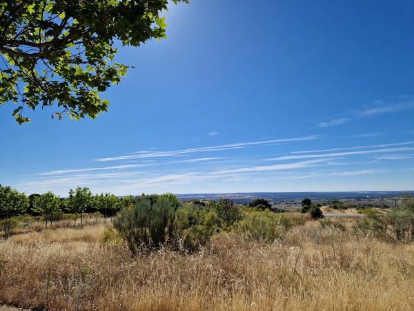 Terreno en calle Cruz del Terrero, 5