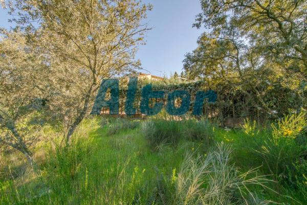 Terreno en calle Sierra Trapera