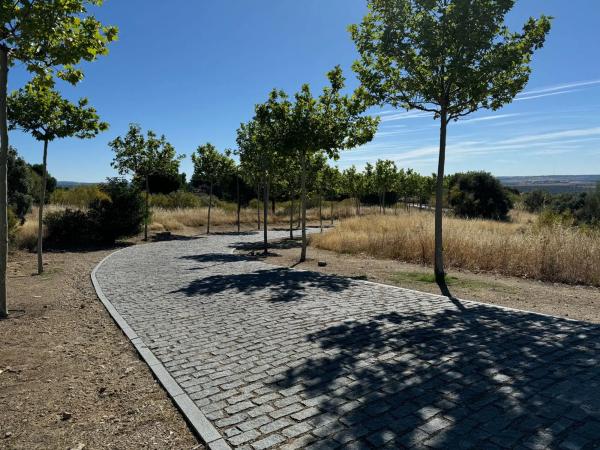 Terreno en calle Cruz del Terrero, 5