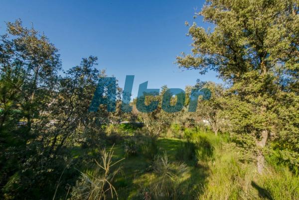 Terreno en calle Sierra Trapera