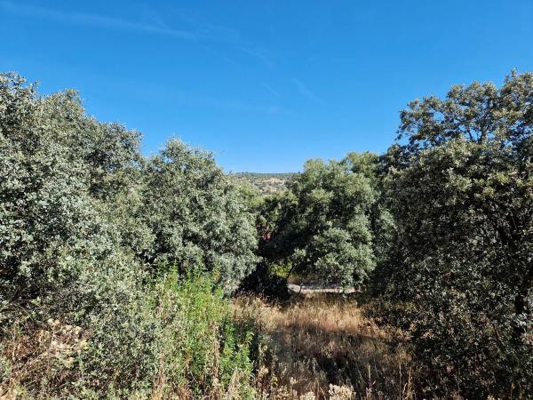 Terreno en calle Cruz del Terrero, 5