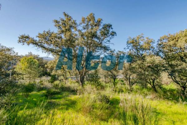 Terreno en calle Sierra Trapera
