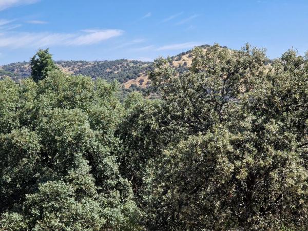 Terreno en calle Cruz del Terrero, 5