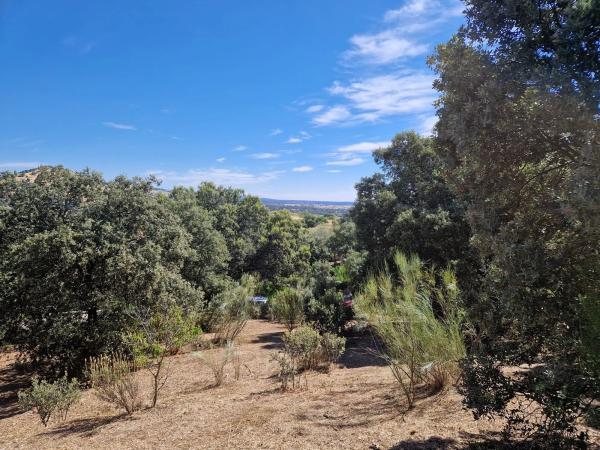 Terreno en calle Cruz del Terrero, 5