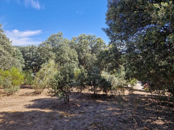 Terreno en calle Cruz del Terrero, 5