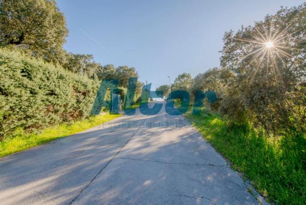 Terreno en calle Sierra Trapera