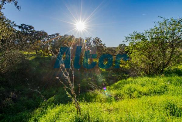 Terreno en calle Sierra Trapera