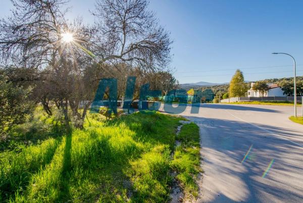 Terreno en calle Sierra Trapera