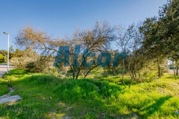 Terreno en calle Sierra Trapera