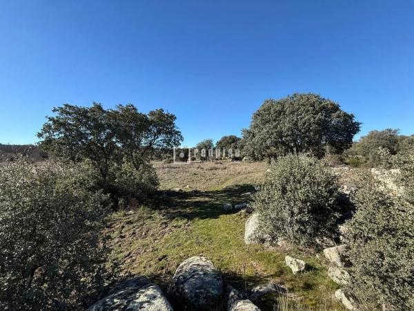 Terreno en Mojadillas - Parque de las Infantas - El Paraiso