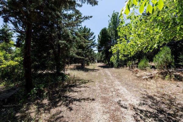 Terreno en Valdemorillo pueblo