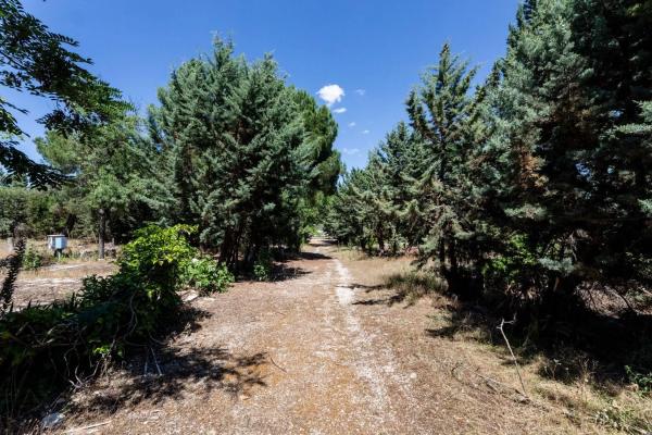 Terreno en Valdemorillo pueblo