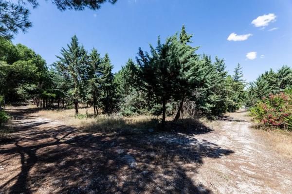 Terreno en Valdemorillo pueblo