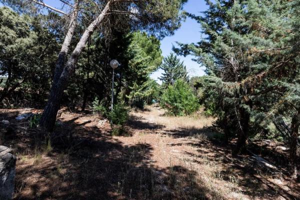 Terreno en Valdemorillo pueblo