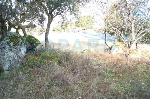 Terreno en Cerro Alarcón