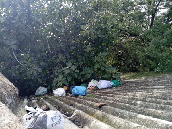 Terreno en calle la Nava