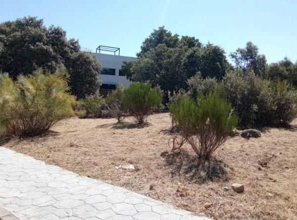 Terreno en calle Infanta Carlota, 3