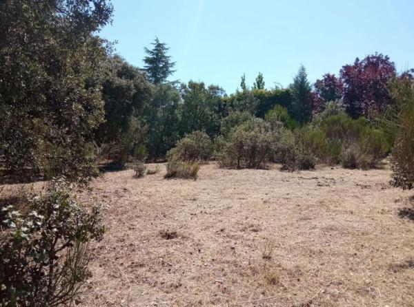 Terreno en calle Infanta Carlota, 3