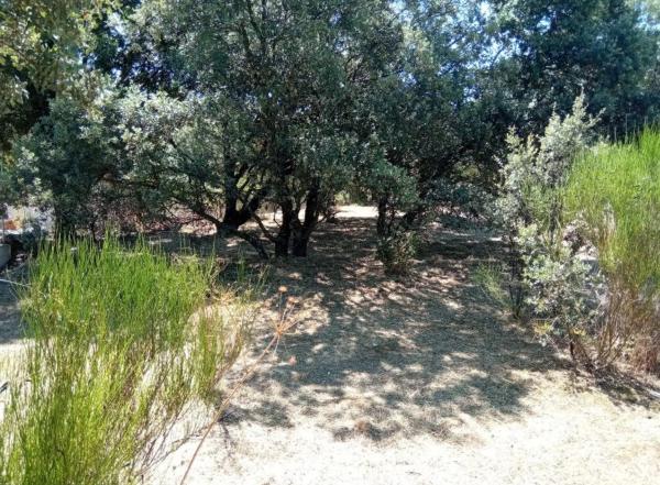 Terreno en calle Infanta Carlota, 3