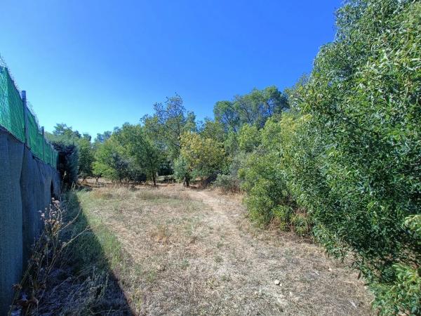 Terreno en calle Flor de los Nogales, 7