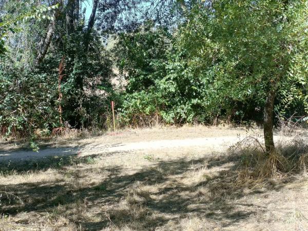 Terreno en calle Flor de los Nogales, 7