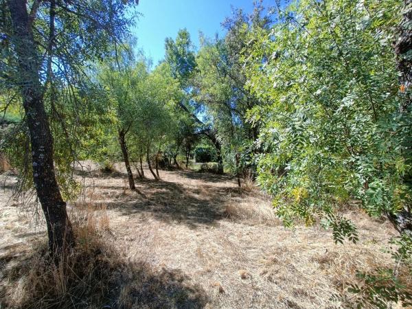 Terreno en calle Flor de los Nogales, 7