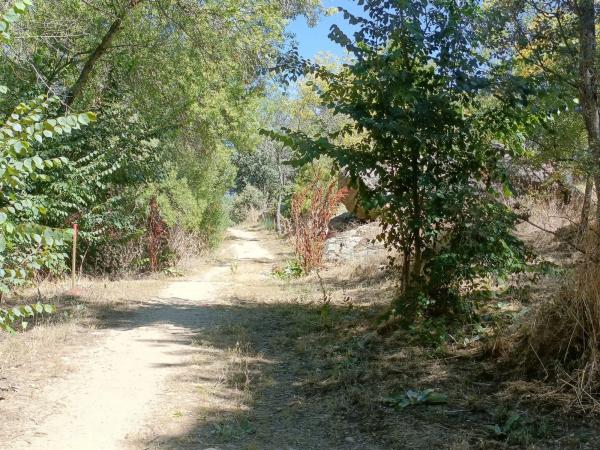 Terreno en calle Flor de los Nogales, 7