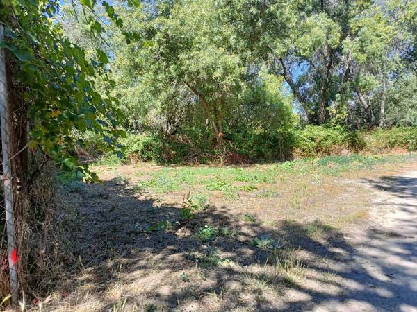 Terreno en calle Flor de los Nogales, 7