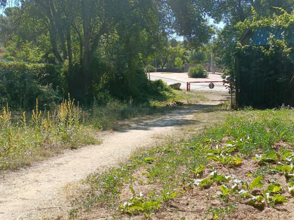 Terreno en calle Flor de los Nogales, 7