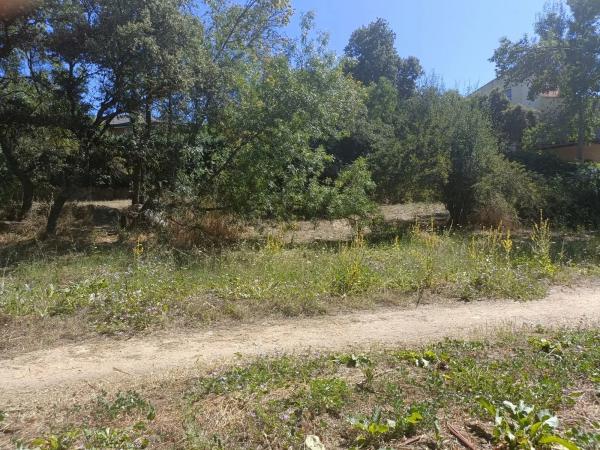 Terreno en calle Flor de los Nogales, 7