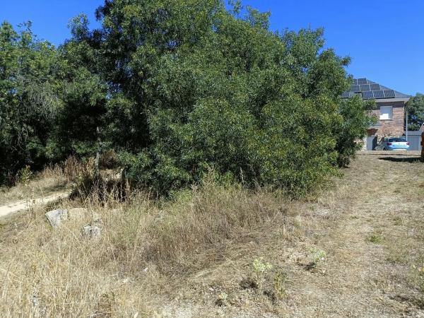 Terreno en calle Flor de los Nogales, 7