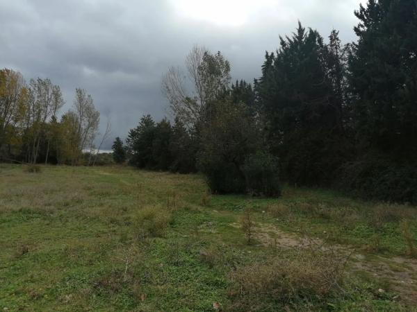 Terreno en carretera de Colmenarejo, km 11