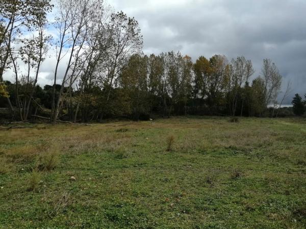 Terreno en carretera de Colmenarejo, km 11