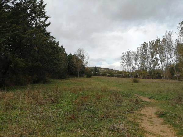 Terreno en carretera de Colmenarejo, km 11