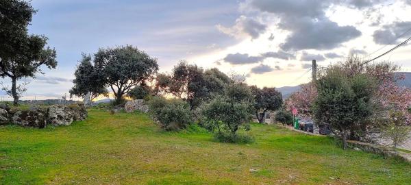 Terreno en calle Begonias, 1