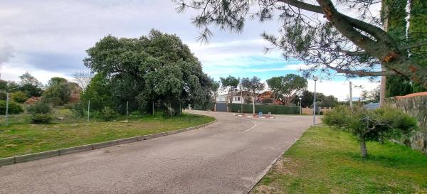 Terreno en calle Begonias, 1