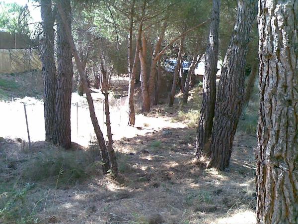 Terreno en calle Peña del Rayo, 14