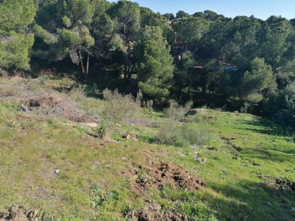 Terreno en calle Peña del Rayo, 14