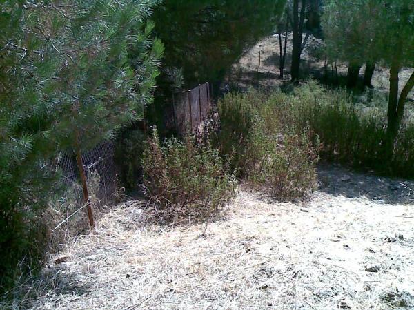 Terreno en calle Peña del Rayo, 14