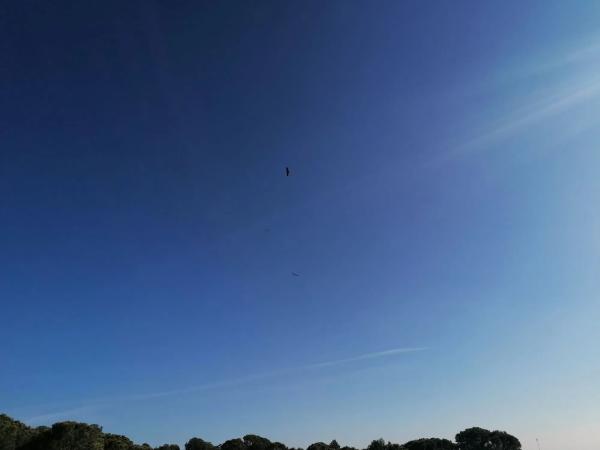 Terreno en calle Peña del Rayo, 14