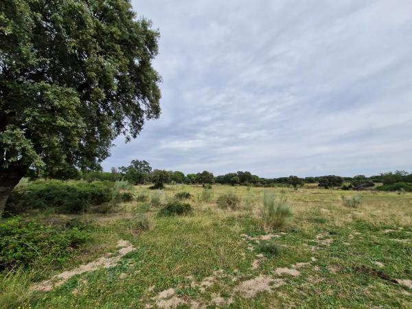 Terreno en camino Vial, 2 y