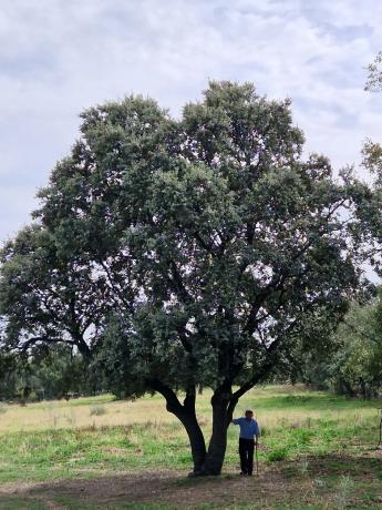 Terreno en camino Vial, 2 y