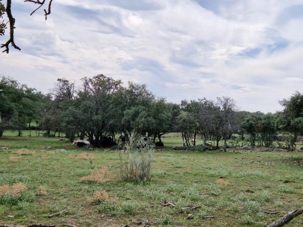 Terreno en camino Vial, 2 y