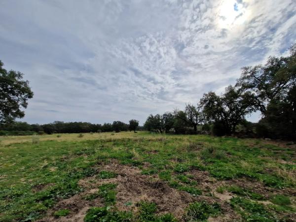 Terreno en camino Vial, 2 y