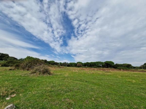 Terreno en camino Vial, 2 y