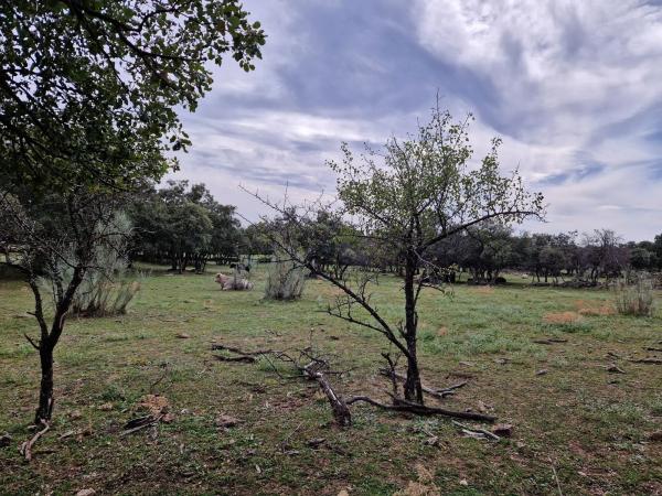 Terreno en camino Vial, 2 y