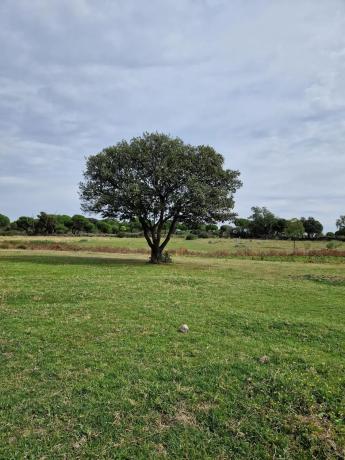 Terreno en camino Vial, 2 y