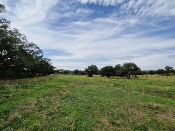 Terreno en camino Vial, 2 y